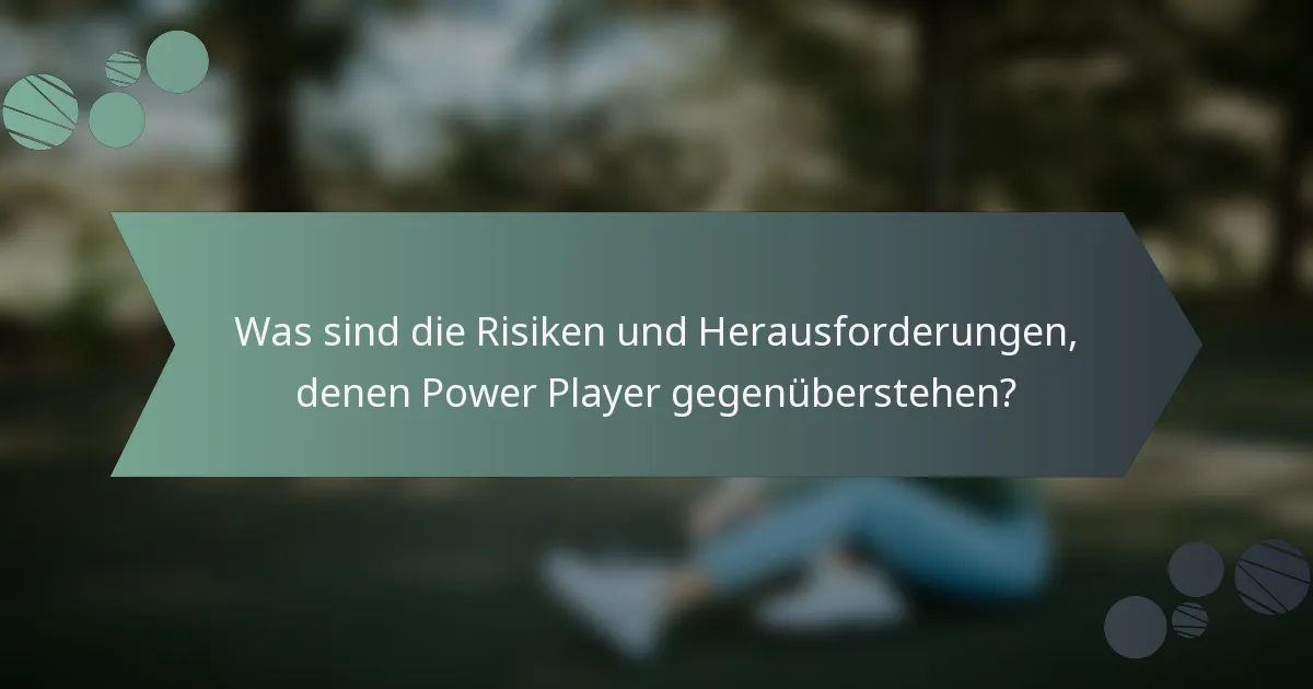 Was sind die Risiken und Herausforderungen, denen Power Player gegenüberstehen?