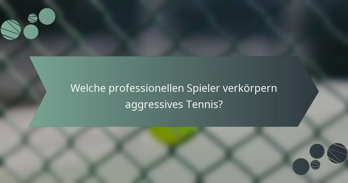 Welche professionellen Spieler verkörpern aggressives Tennis?