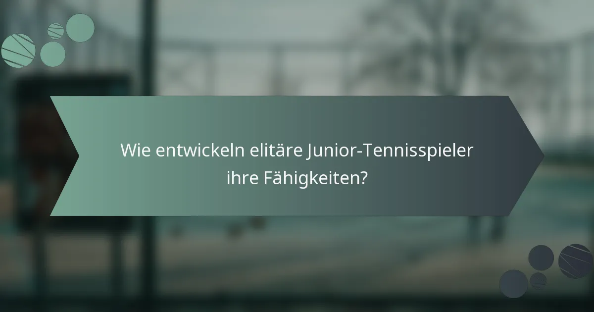 Wie entwickeln elitäre Junior-Tennisspieler ihre Fähigkeiten?