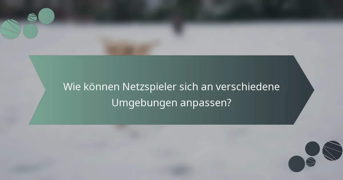 Wie können Netzspieler sich an verschiedene Umgebungen anpassen?